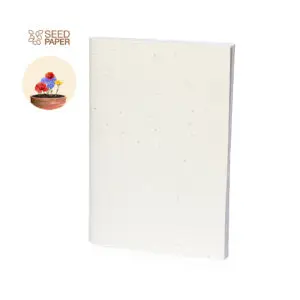 Notebook Derna Seeds