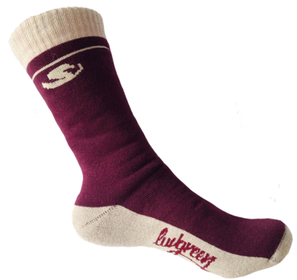 terry-socks-2.png